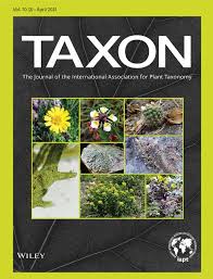 Attēlu rezultāti vaicājumam “Dicranella staphylina cells”