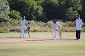 Image result for Shillingstone Cricket Club
