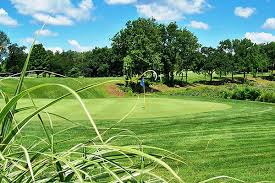 Image result for Southfield Golf Club