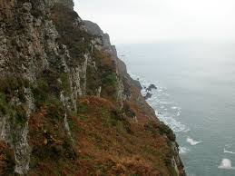 Attēlu rezultāti vaicājumam “Rhabdoweisia fugax sporophyte”