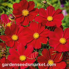 Image result for Schmuckkörbchen