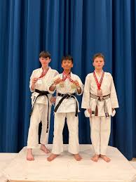 Image result for Harpenden JKA Karate Club