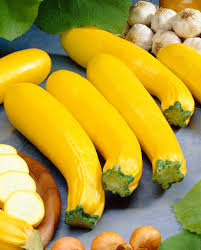 Attēlu rezultāti vaicājumam “Cucurbita pepo”