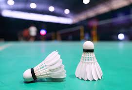 Image result for Bayford Badminton Club
