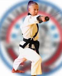 Image result for Everitt Karate Academy