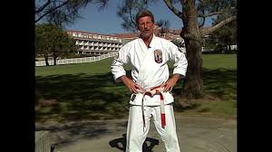 Image result for Imi Jishin Ryou karate do