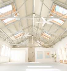 Image result for Edinburgh Jitsu Club