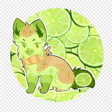 Image result for limecat