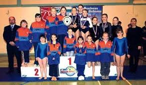 Image result for Haverfordwest Gymnastics Club
