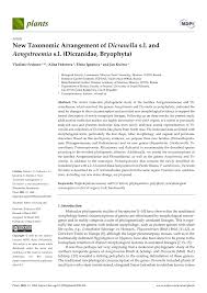 Attēlu rezultāti vaicājumam “Dicranella staphylina cells”
