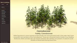 Attēlu rezultāti vaicājumam “Cannabaceae”