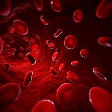 Image result for blood