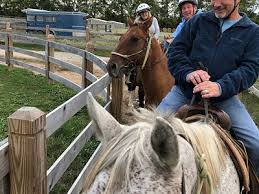 Image result for Frankton Cc