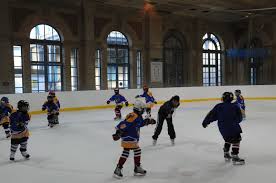 Image result for Haringey Junior Ice Hockey Club