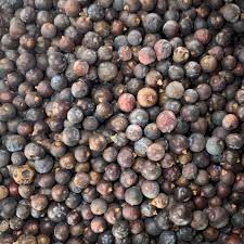 Attēlu rezultāti vaicājumam “Juniperus communis fruit”