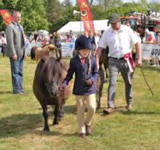 Image result for Fife Riding Club