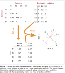 Image result for D.A.R.E!! Development + RadiSense III Y-Axis