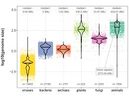 Image result for genome sizes
