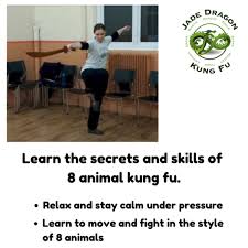 Image result for Jade Dragon School of Kung Fu and Qigong (Reading)