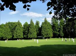 Image result for Much Wenlock Cricket Club