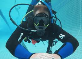 Image result for Diveline