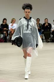 Image result for Arnika