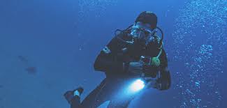 Image result for Peninsula Sub Aqua