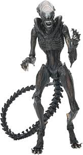 Image result for xenomorph