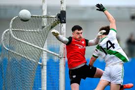 Image result for Patrick Sarsfield Gaelic Athletic Club