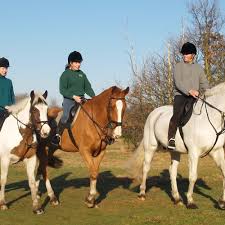 Image result for Greenways Riding Stable Lower Eashing