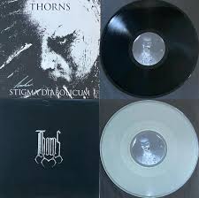 Attēlu rezultāti vaicājumam “Diderma montanum var. album stalked”