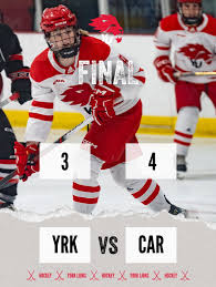 Image result for York University Street Hockey Club