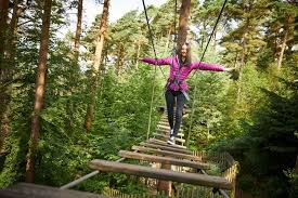 Image result for Go Ape! Thetford