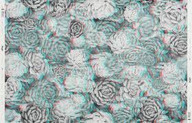 Image result for Anaglyph