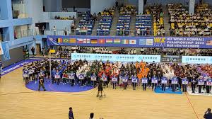 Image result for Farnborough Jets Korfball Club