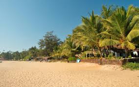 Image result for patnem beach