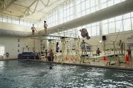 Image result for Greenwich Borough Mariners Swimming Club
