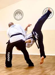 Image result for Moo Sool Academy