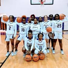 Image result for Hinckley & Bosworth Lady Hoops Basketball Club