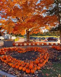 Bildergebnis für Fall…