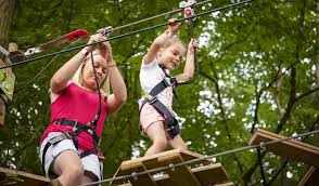 Image result for Go Ape! Moors Valley