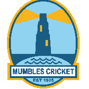 Image result for Ynysygerwn Cricket Club