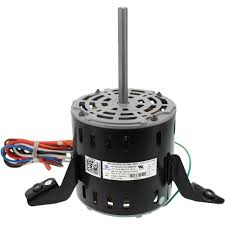 Image result for biojack tehron