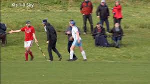 Image result for Lochcarron Camanachd