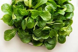 Image result for Feldsalat