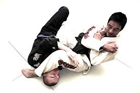 Image result for Kamon Wing Chun