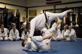 Image result for The Martial Method