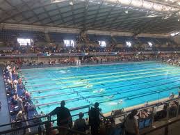 Image result for Stocksbridge Pentaqua Swimming Club