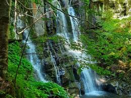 Image result for cascate del dardagna