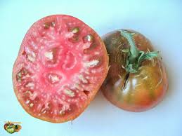 Afbeeldingsresultaat voor black oxheart tomato